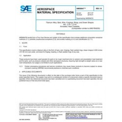SAE AMS6947B
