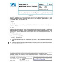 SAE AMS2431/3E