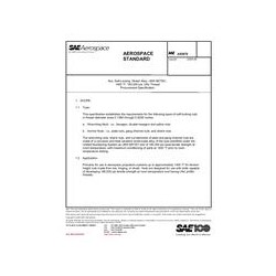 SAE AS5878