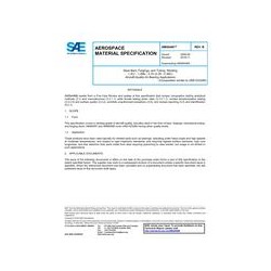SAE AMS6496B