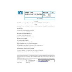 SAE AMS2759/8B