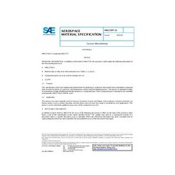 SAE AMS2759/13