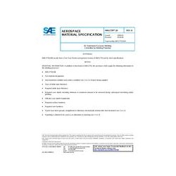 SAE AMS2759/10B