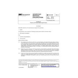 SAE AMS2809A