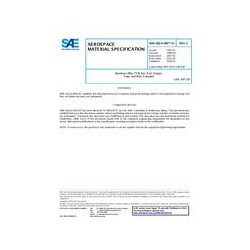 SAE AMSQQA200/13C