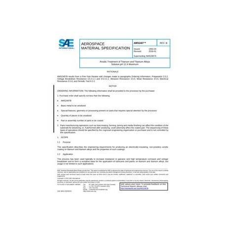 SAE AMS2487B