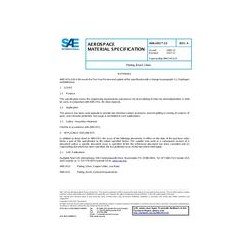 SAE AMS2451/13A