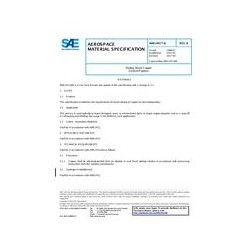 SAE AMS2451/6B