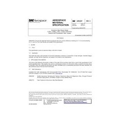 SAE AMS4207C