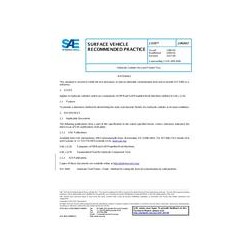 SAE J1335_201706