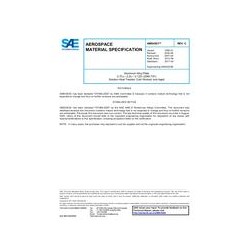SAE AMS4303C