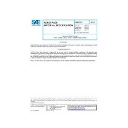 SAE AMS4334B