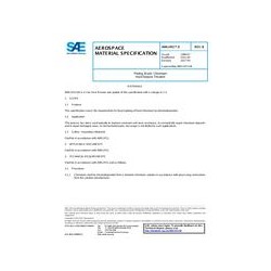 SAE AMS2451/5B