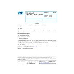 SAE AMS2451/1B