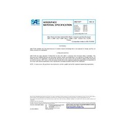 SAE AMS7724D
