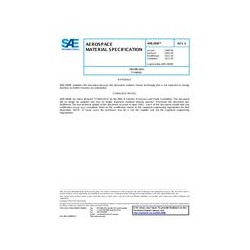 SAE AMS2808E