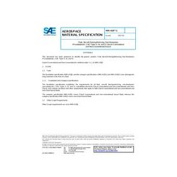SAE AMS1428/1