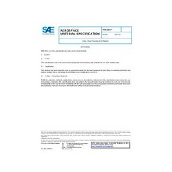 SAE AMS2821