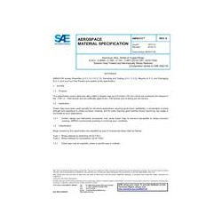 SAE AMS4313E