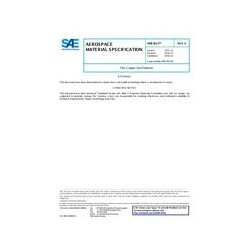 SAE AMS3613E