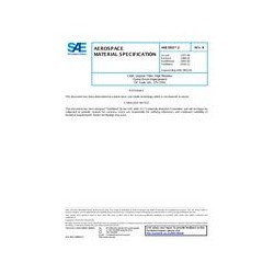 SAE AMS3903/2B