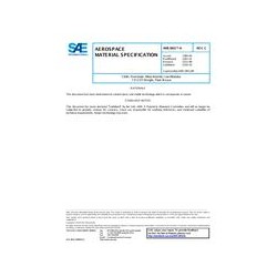 SAE AMS3801/4C