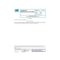 SAE AMS3731/9C