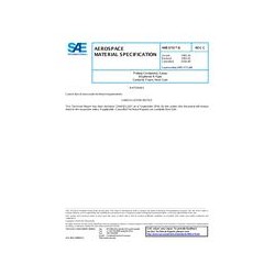 SAE AMS3731/6C
