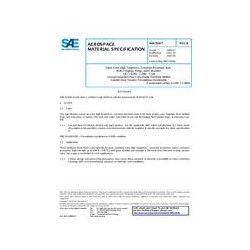 SAE AMS5934B