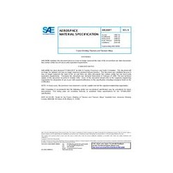 SAE AMS2689B