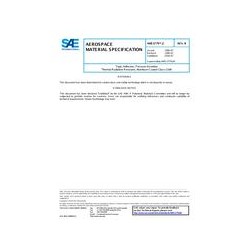 SAE AMS3779/2B