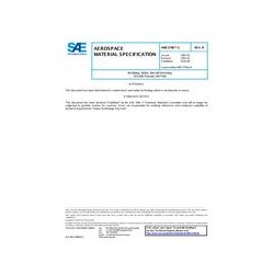 SAE AMS3796/1B