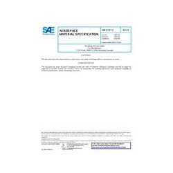 SAE AMS3718/2B