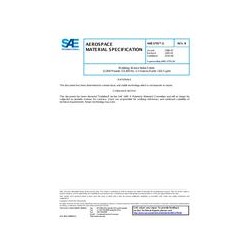 SAE AMS3795/3B