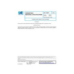 SAE AMSP29609A