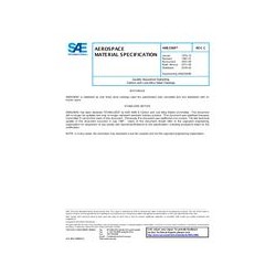 SAE AMS2369C