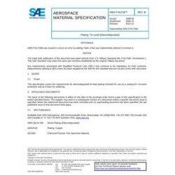 SAE AMSP81728B