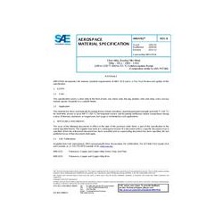SAE AMS4761B