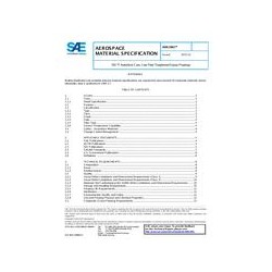 SAE AMS3961