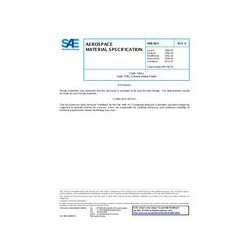 SAE AMS3823E