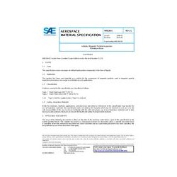 SAE AMS2641C
