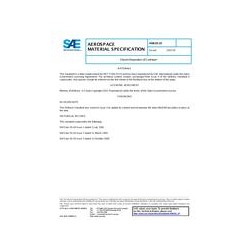 SAE AMS03_19