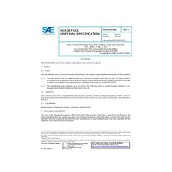 SAE AMS5629/H1000A