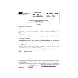 SAE AMS4304B