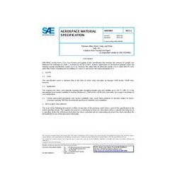 SAE AMS4904C