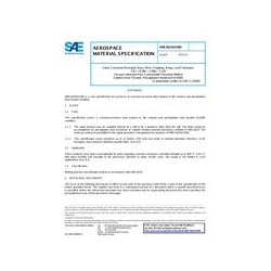 SAE AMS5629/H1000