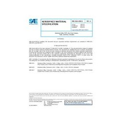 SAE AMSQQA200/11A