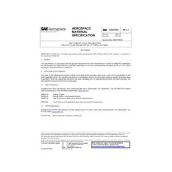 SAE AMS2759/2F