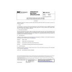 SAE AMS2759/1E