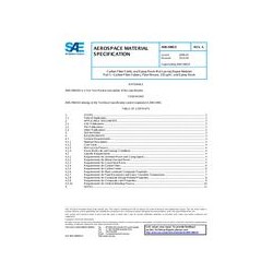 SAE AMS2980/5A